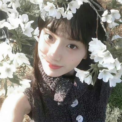 钢琴之森
